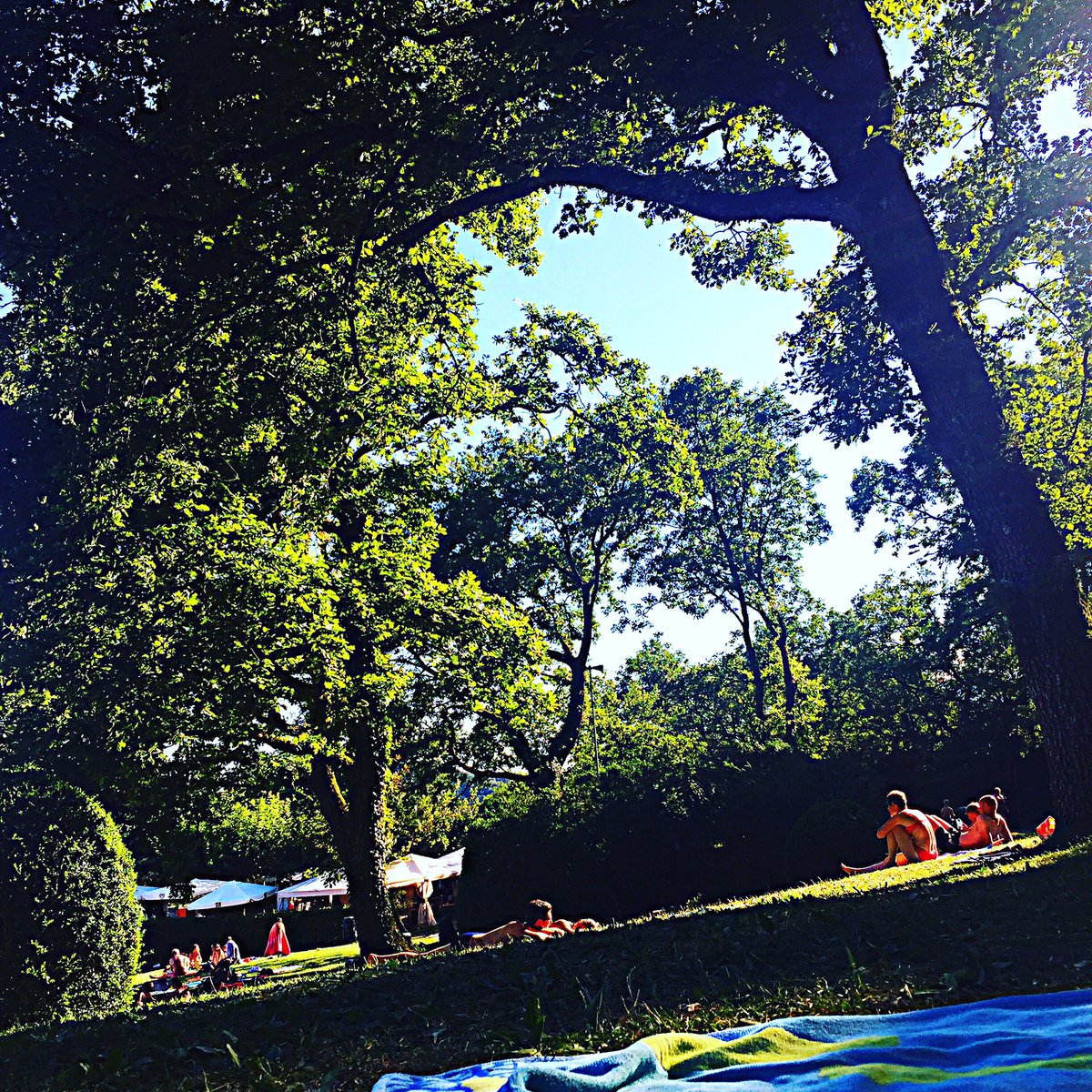 lasarraz1315's tweet photo. Plaisance à la piscine! https://t.co/CjgHfwWEOs