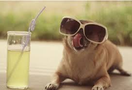 ListenupJane's tweet image. bit.ly/2adObVu
Hey #moms these are some #Tips that I found to #StayCool for this #Summer! Hope they help!