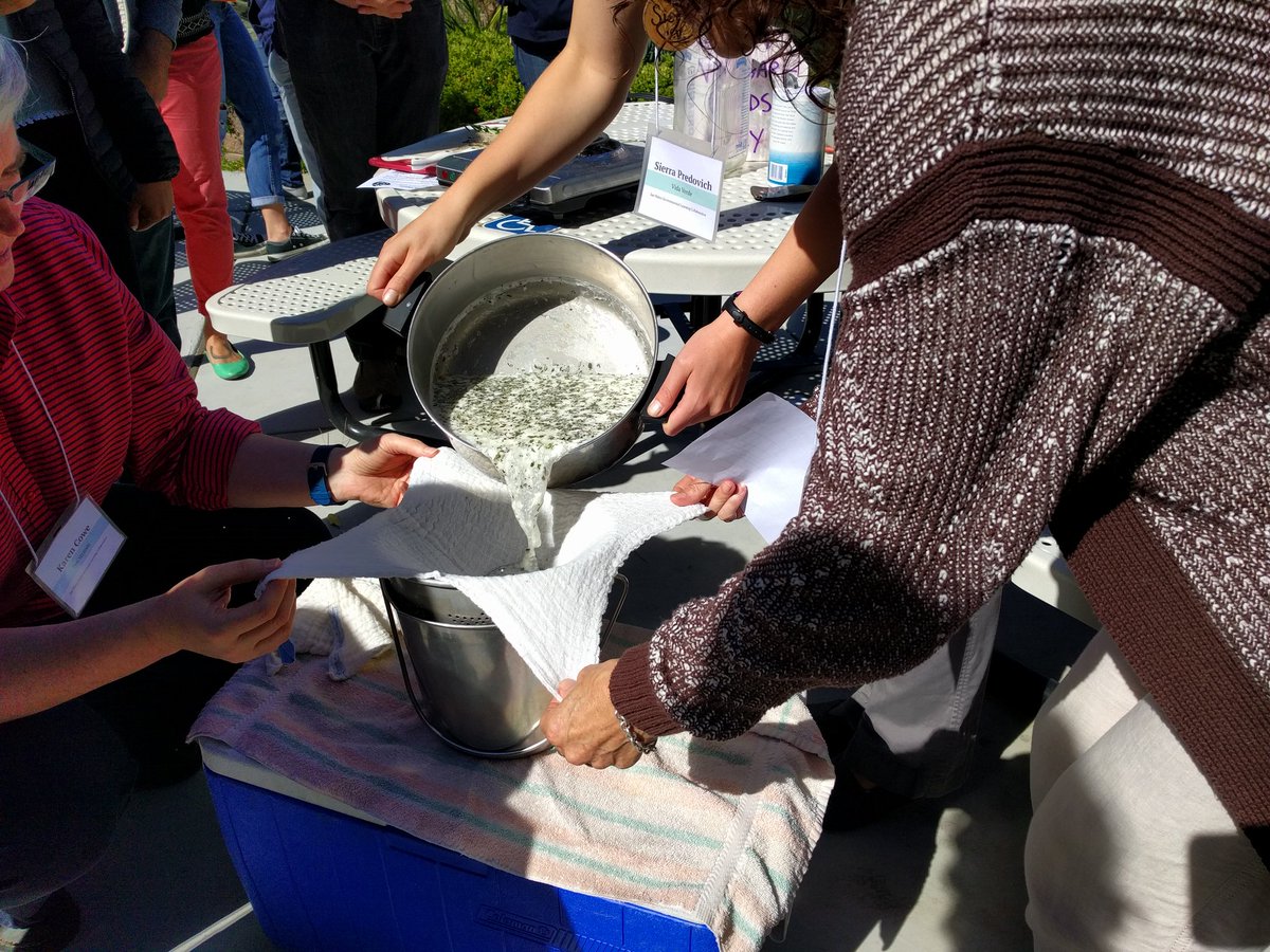 RoomA103atClark's tweet photo. Making goat cheese with Vida Verde! @TenStrands https://t.co/FV7xxRlUm9