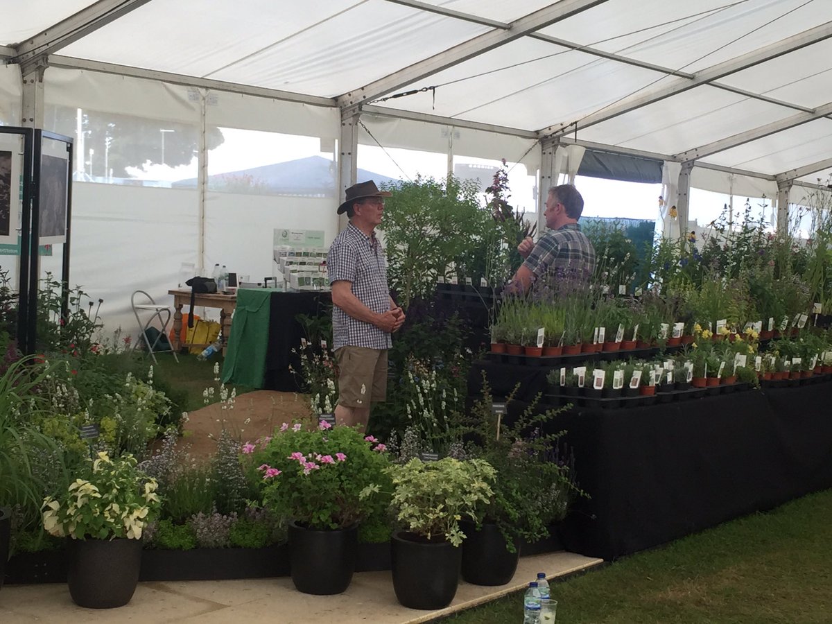 Proud moment! Find out more about RHS Master Grower #RHSTatton @hooksgreenherbs @BBCFlowerShows BBC2 Thursday