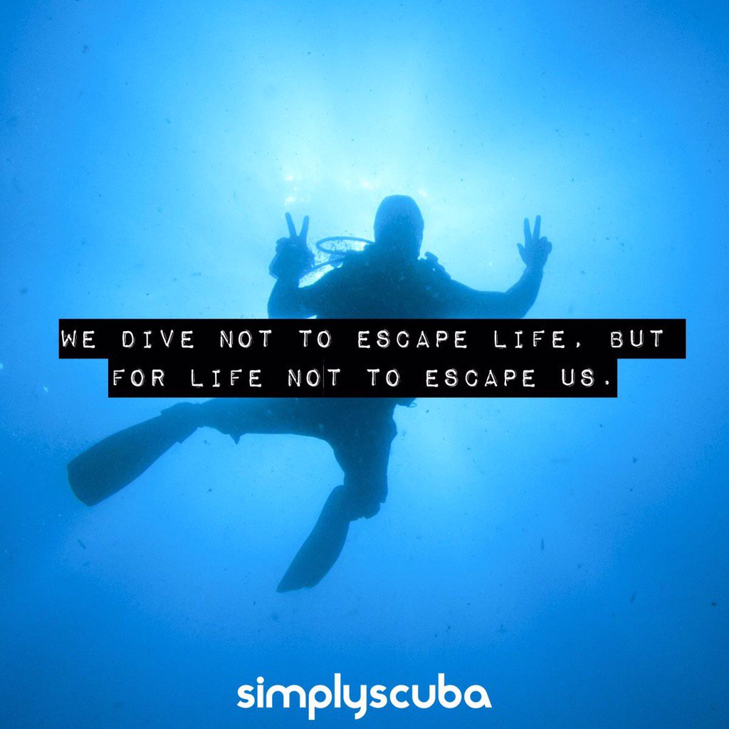 Lindsey Hillyer 🐚 (@lindsey_hillyer) on Twitter photo 