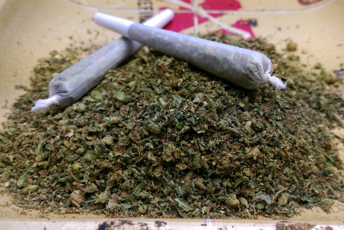 RascalsCoInc's tweet photo. Morning Rascals Family! Pick up some joints and start your morning right with our Early Bird Special from 10am-12pm! https://t.co/bIt3iLdfyW