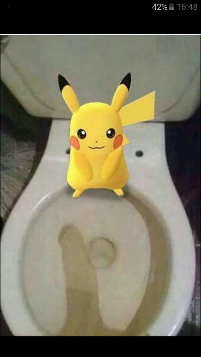 BuckleMick's tweet photo. Just find a bloody Pokemon on my toilet...the little shit https://t.co/DVMBA3XJGT