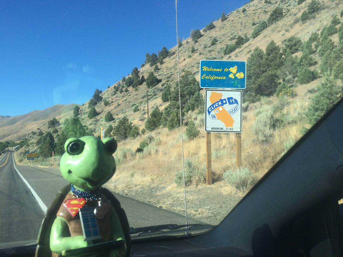 TurtleTyme713's tweet photo. Welcome to California, now buckle your fool arse up! 🤐 #thetravelingturtle #thetoddlets @toddlarowe https://t.co/J4kEzNwICa