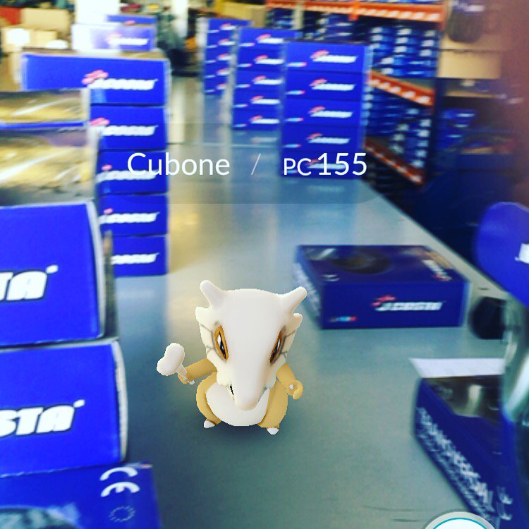 JCostaCompetiti's tweet photo. Hoy hemos tenido visita. Parece que a los @Pokemon les gusta la velocidad! https://t.co/Zlf1LgpzOL