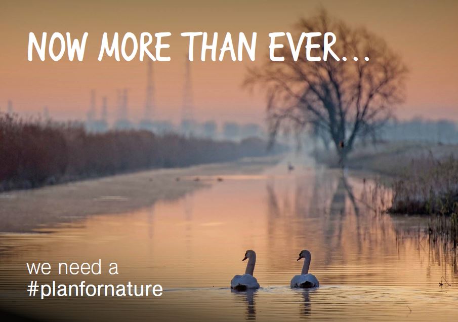 ChrisGPackham's tweet photo. WWT call for a new Natural Wealth Statement, saying we need nature as much as nature needs us #planfornature https://t.co/tTosi5Z0jA