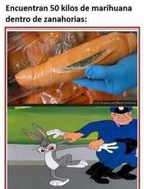 colitadecharman's tweet photo. Buggs sta loko 
#BuenMartes #SIGUEMEYTESIGO #SeguimeYTeSigo #MartesDeGanarSeguidores #SeguimeYTeSigoCumplo https://t.co/J9SZTLlKe8