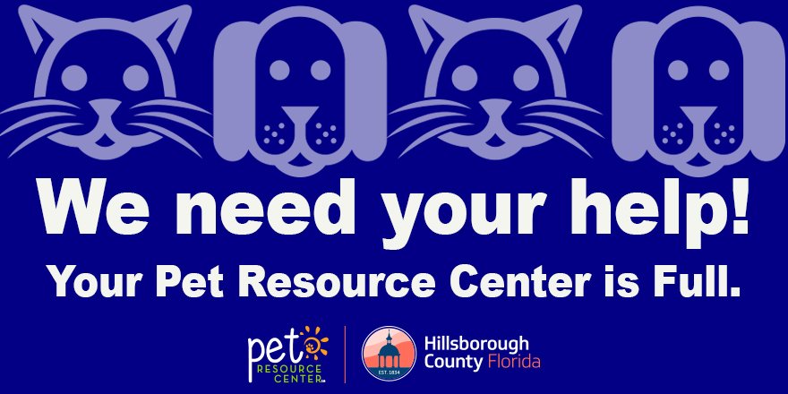 Hillsboroughcares On Twitter Your Pet Resource Center Is At Capacity We Need Your Help Adopt Today Https T Co Shay5dxgx8 Prcpets