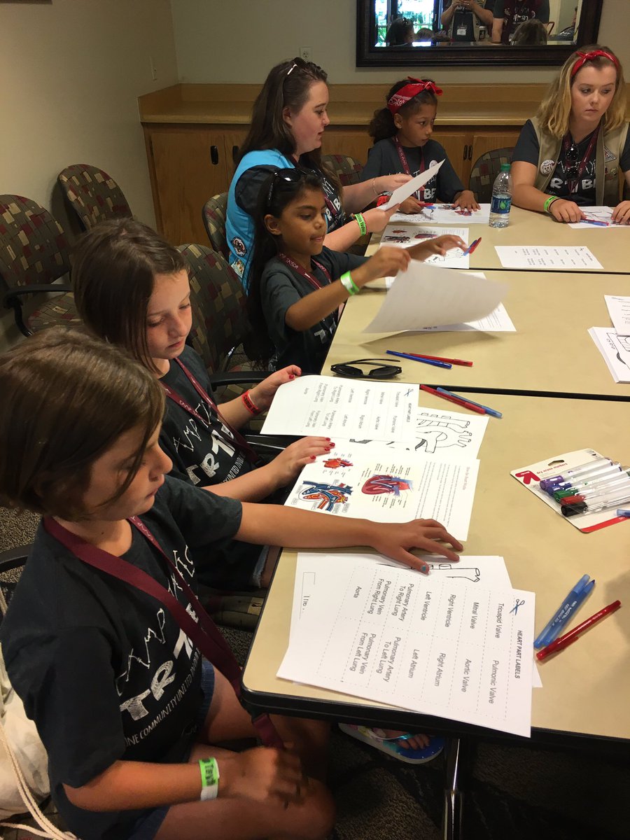 Camp_Taylor's tweet photo. Heart Education is on of the most important components of our camp! #Educate #CHD #CampTaylor #WeTribe #KapsCampers https://t.co/Syw8rBBaaS
