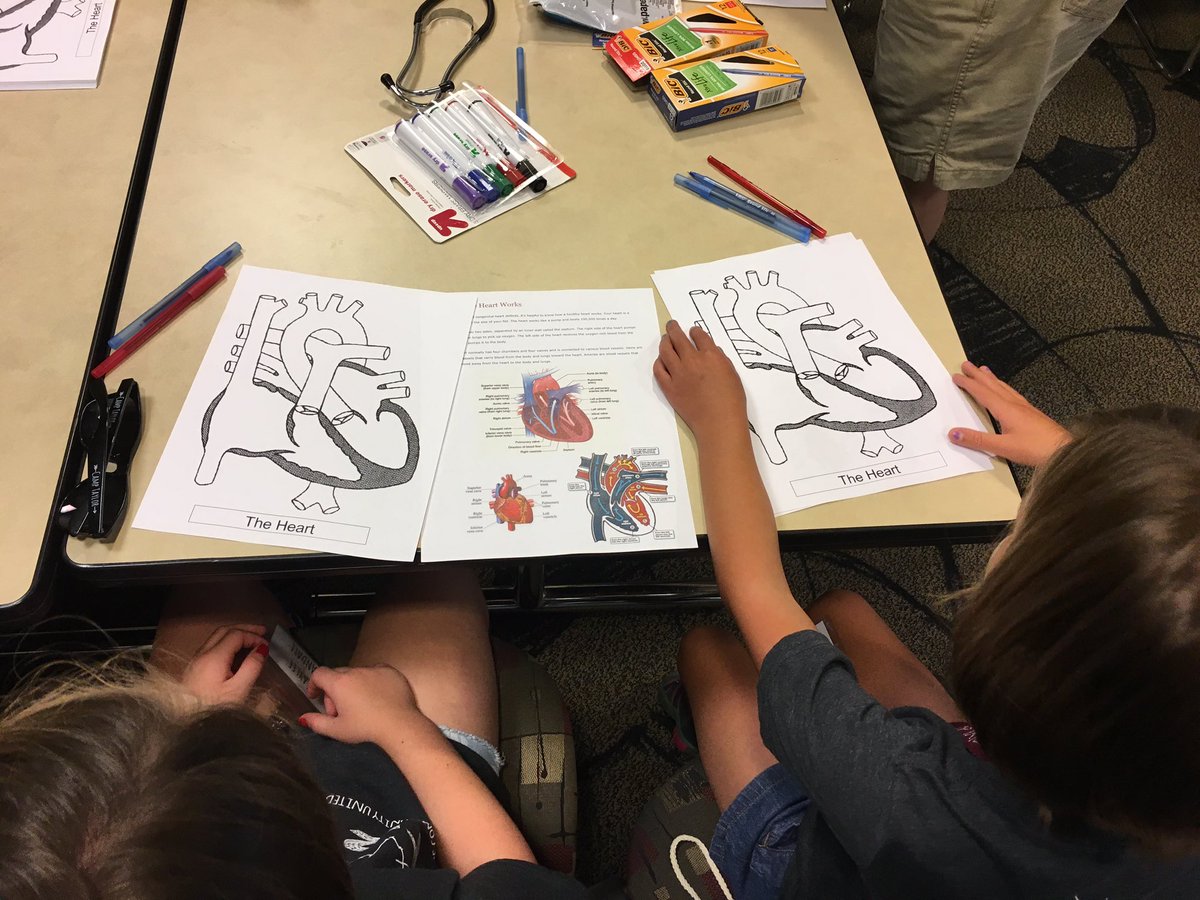 Camp_Taylor's tweet photo. Heart Education is on of the most important components of our camp! #Educate #CHD #CampTaylor #WeTribe #KapsCampers https://t.co/Syw8rBBaaS
