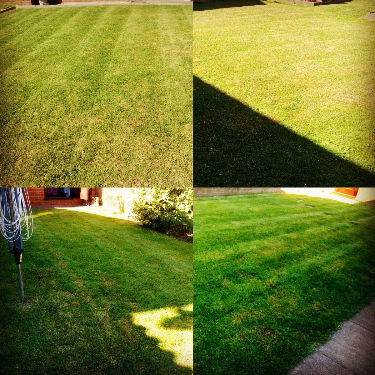 TiDeeHome's tweet image. Lawns cut and gardens tidied. It's been hot!!