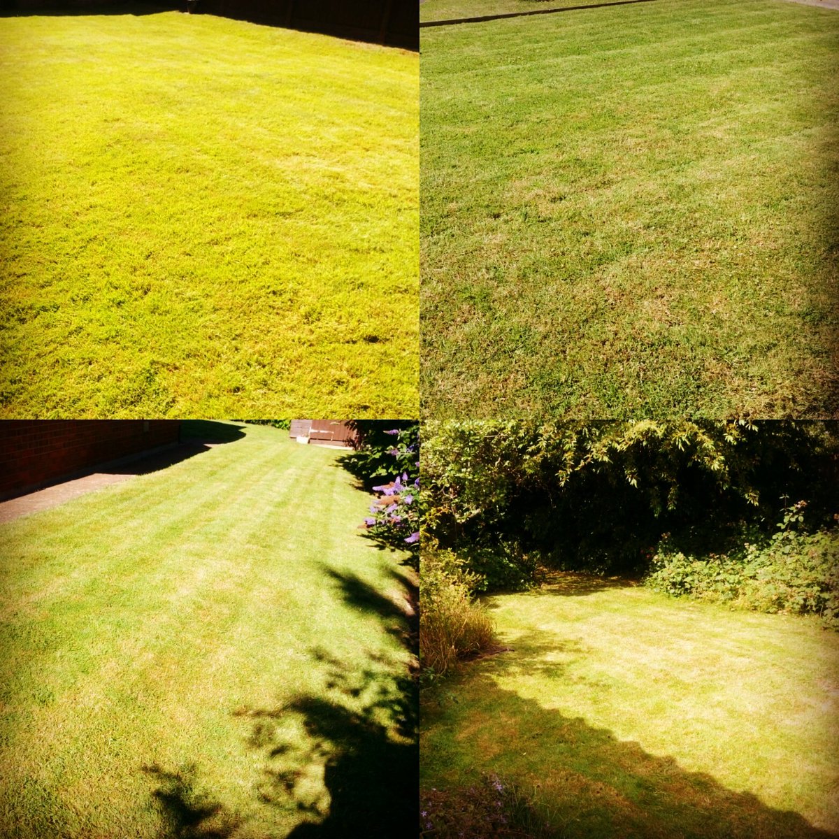 TiDeeHome's tweet image. Lawns cut and gardens tidied. It's been hot!!