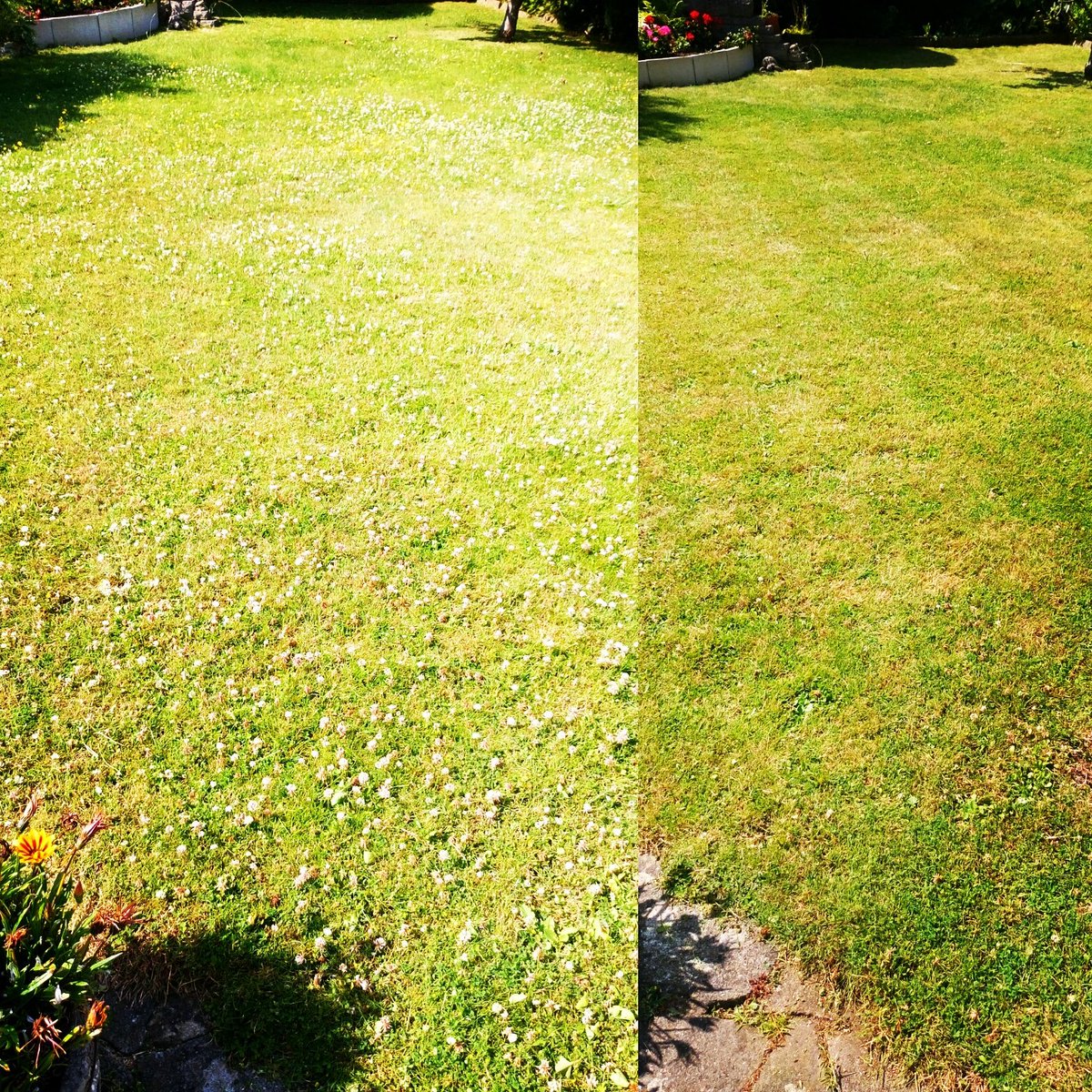 TiDeeHome's tweet image. Lawns cut and gardens tidied. It's been hot!!