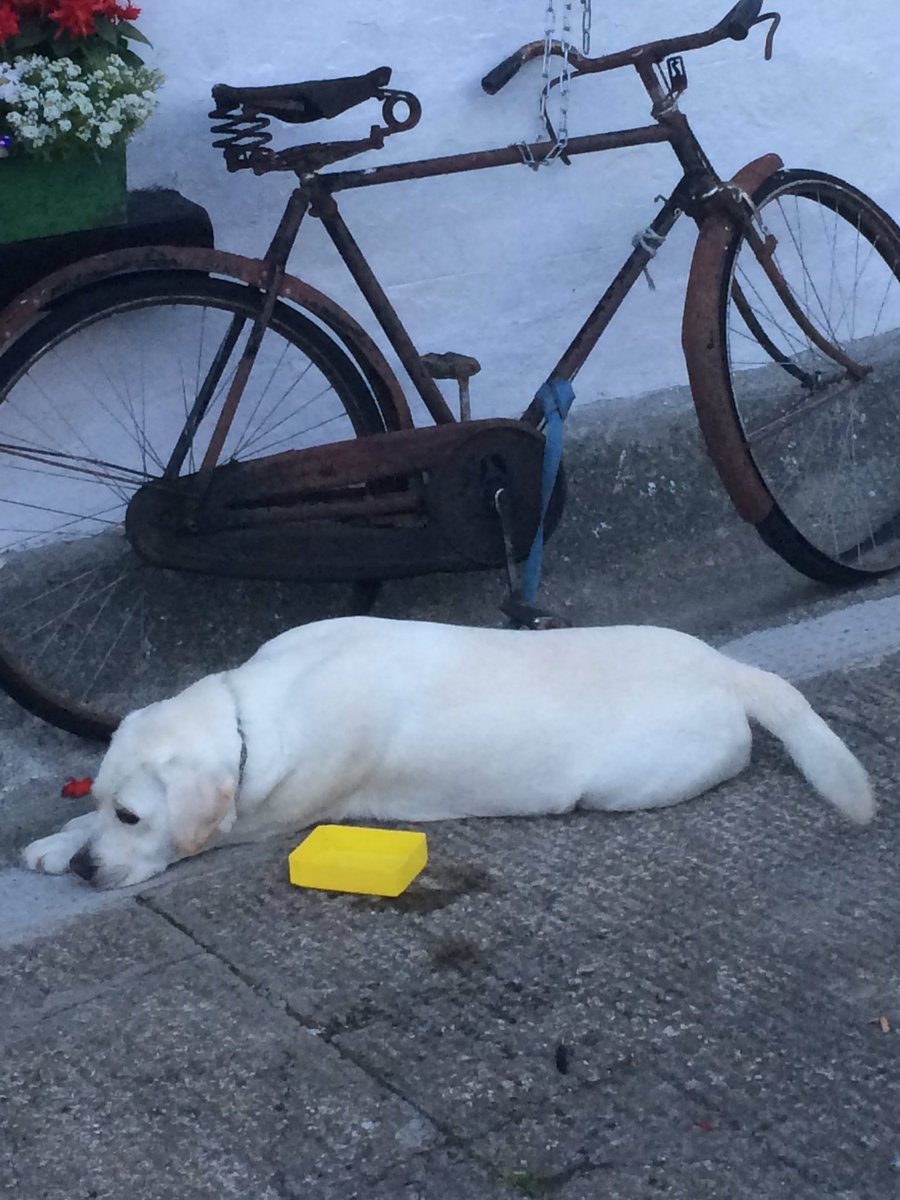 Canteenrun's tweet photo. #cavan #gartlans #dunari https://t.co/tE2EciKToW