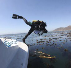 LondonDiver's tweet image. When it's so hot u feel like this &amp;amp; all you want to do is that! So who's up for diving @ the w'end? 💦💦💦