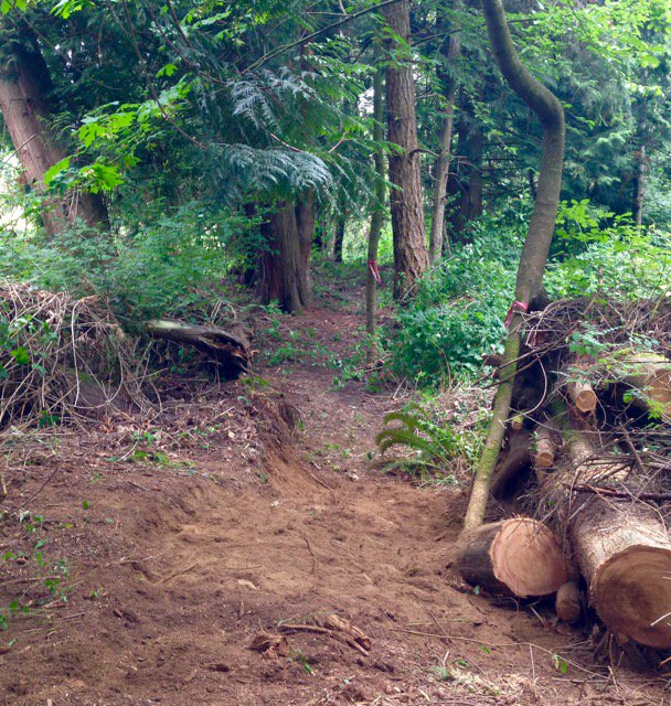 Four volunteers came out on Sunday to help me punch a line in the woods at #BBMX. This will open up a big new loop!