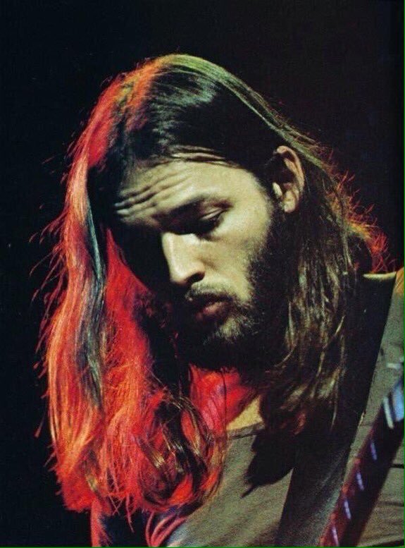 steve_sps's tweet image. I cannot put my finger on it now
The child is grown
The dream is gone
And I have become
Comfortably numb

#PinkFloyd