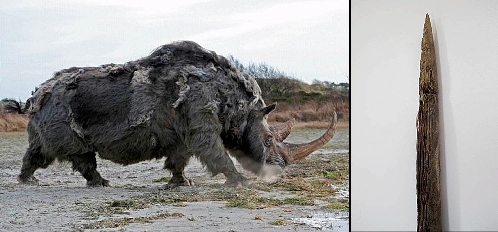 WeaponDesigns's tweet image. RT @Jamie_Woodward_

13K-year-old spear carved from woolly rhino horn found on Arctic island
siberiantimes.com/home/born-in-s…