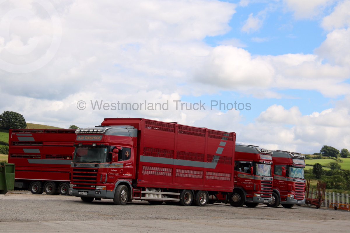 Alan Thompson Trio of Scania's <a href="/ScaniaUK/">Scania UK</a> <a href="/ScaniaGroup/">Scania Group</a> <a href="/livestocktrucks/">Livestock trailers</a>