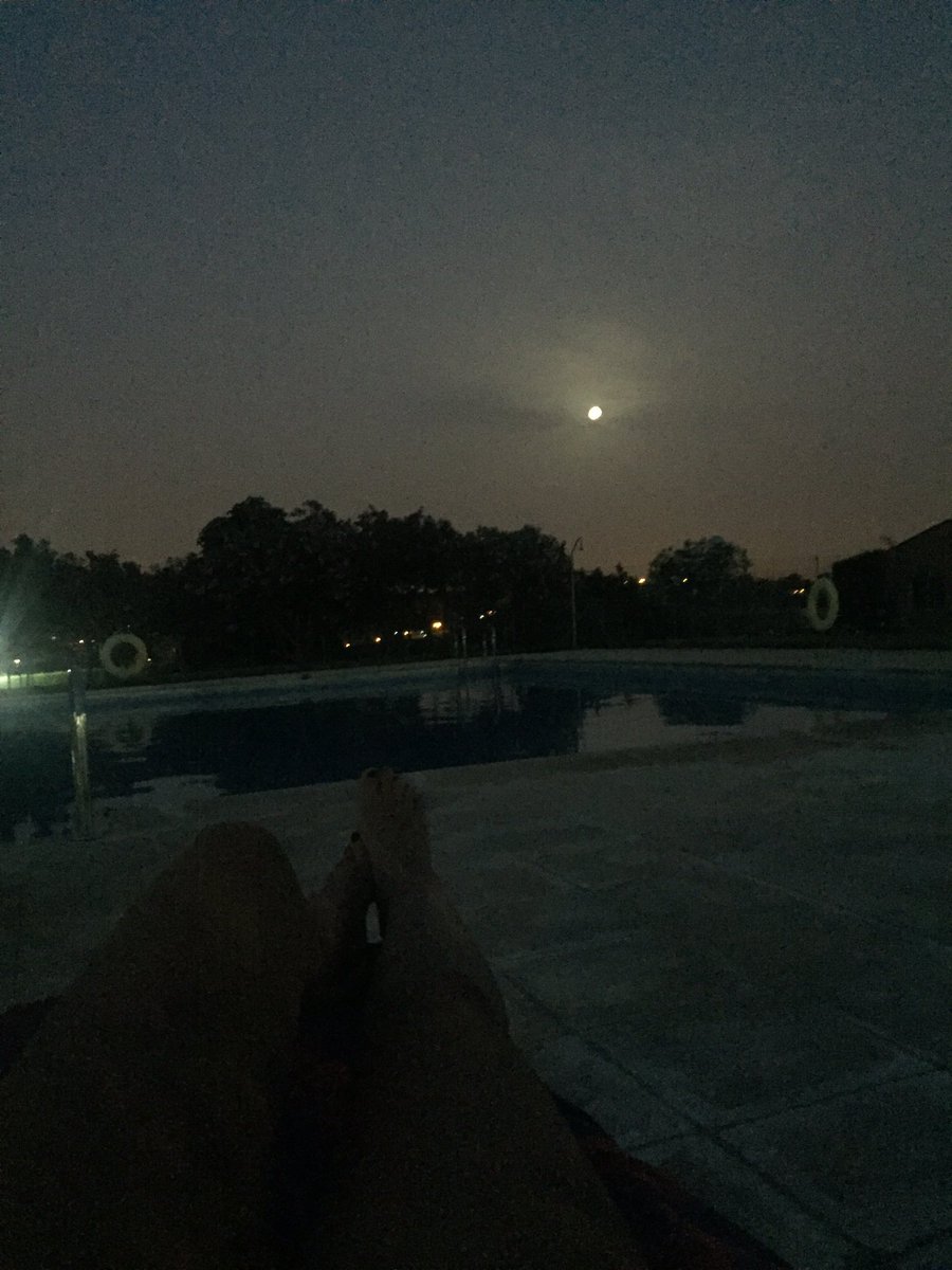 beatuss_ille's tweet photo. Placeres de la vida🐬🌕 https://t.co/Rb4V1Uztoj