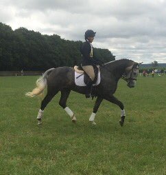 ColinaPickles's tweet photo. @EDLtdSurfaces Direct Tullyoran Diamond doing her 1st BE100 @Stafford_HT. Flew round with ease. Good job @HarrietDD https://t.co/DcgSKGshKW