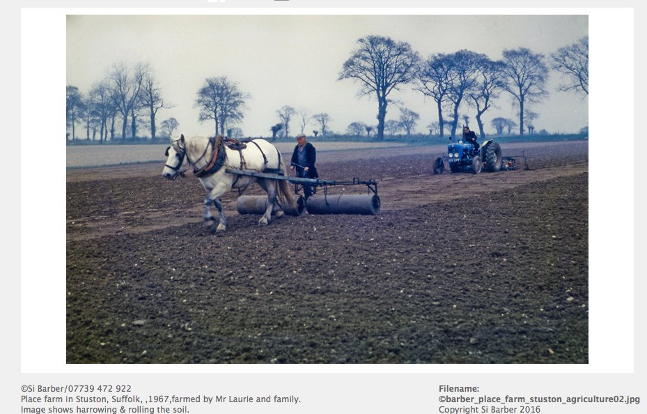 SiBarberPhoto's tweet photo. Some views of agricultural life, 1967, #Stuston, #Suffolk #NFUEastAnglia https://t.co/bH8eQYfetE https://t.co/uHQEkN1YXI