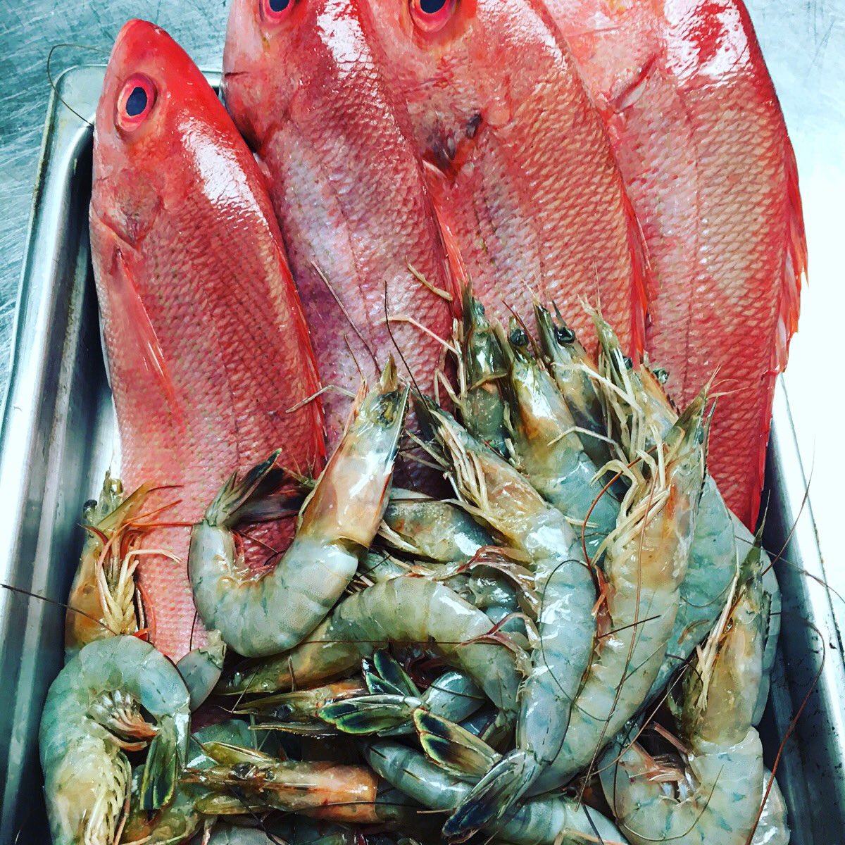 DecoRistorante's tweet photo. Snapper and friends, tonight at Deco! Also, Giuseppe is in the kitchen -- come have dinner with us! https://t.co/IW5fvw6fpH