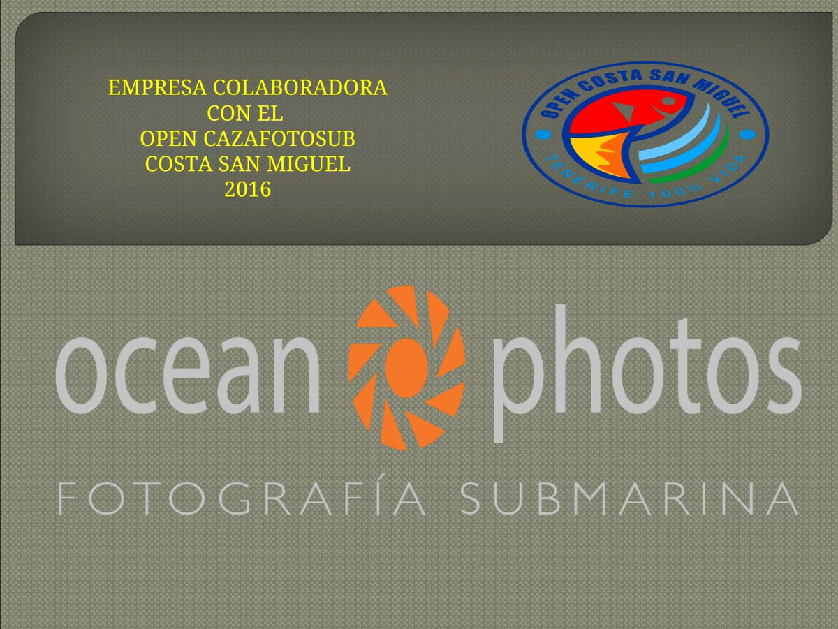 opencsm's tweet photo. #cazafotosub. Agradecer la colaboración con el Open Cazafotosub Costa San Miguel 2016 https://t.co/NYOxasGXcg