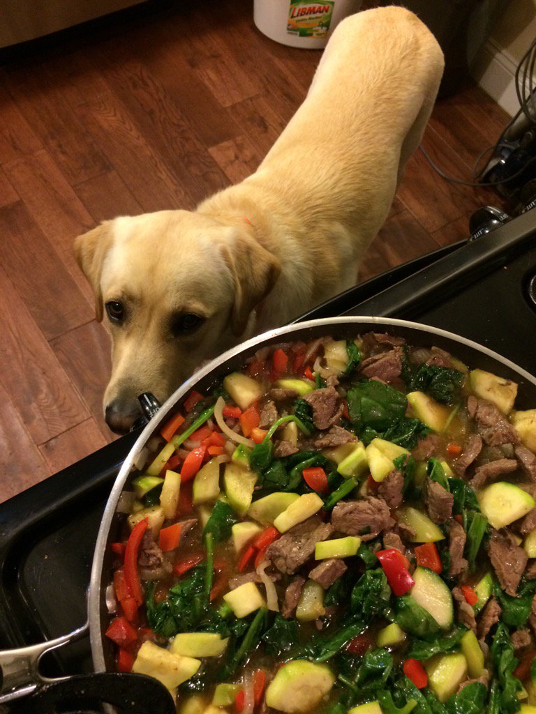 CoachChrisIp's tweet photo. Adding vegetables to my meals. Prepping for @DrLoretoJackson visit. https://t.co/G4PkiBYpjE