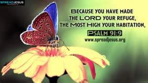 Doreen (@elliesangelwing) on Twitter photo 