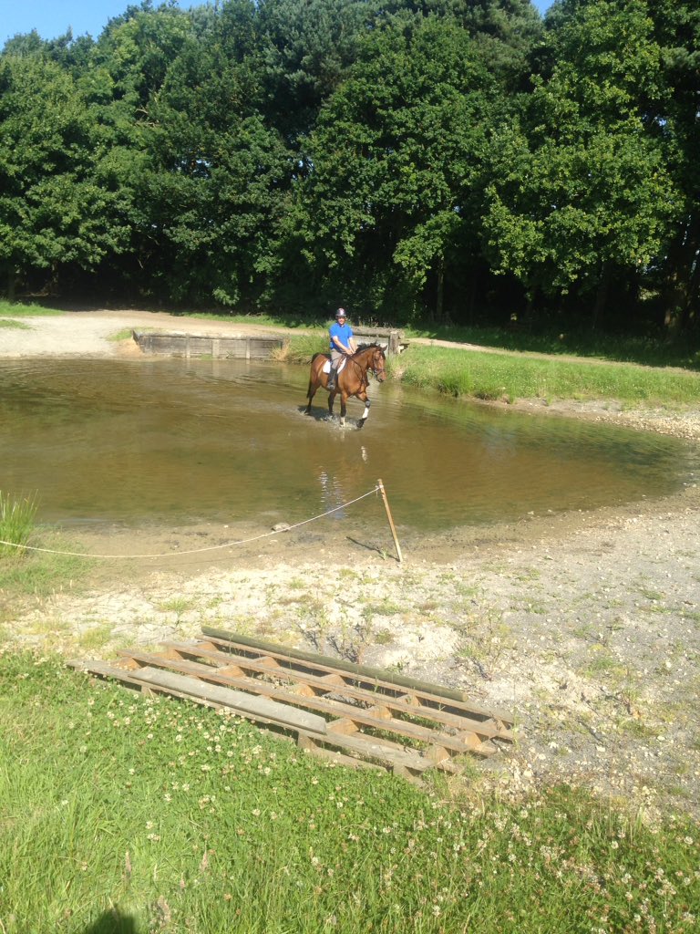 PaulandHannah's tweet photo. Had a bit of an XC school today! Saw fellow @TopSpec2 rider @NWEventing! #BitOfAChange #PotentialEventingHorse https://t.co/9IYlYWR2Lp