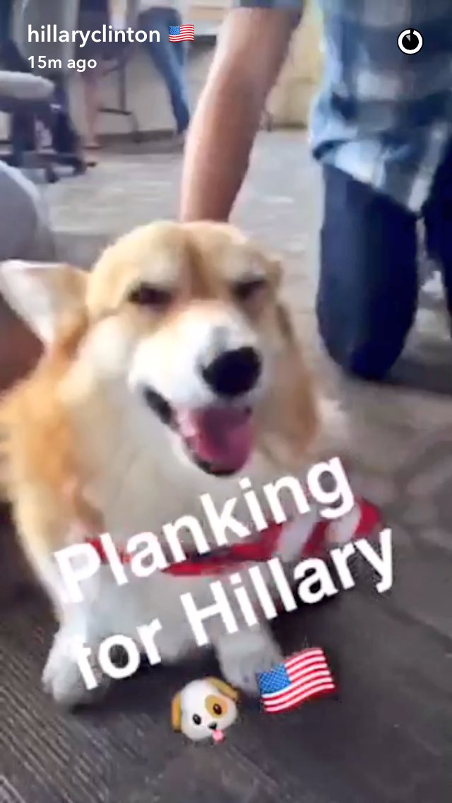 hannahbfine's tweet image. Check out @HillaryClinton's Snapchat for a glimpse of the @HillaryforOH gang: @JDahmanIII, @chwyant, @LCorgi &amp;amp; more!