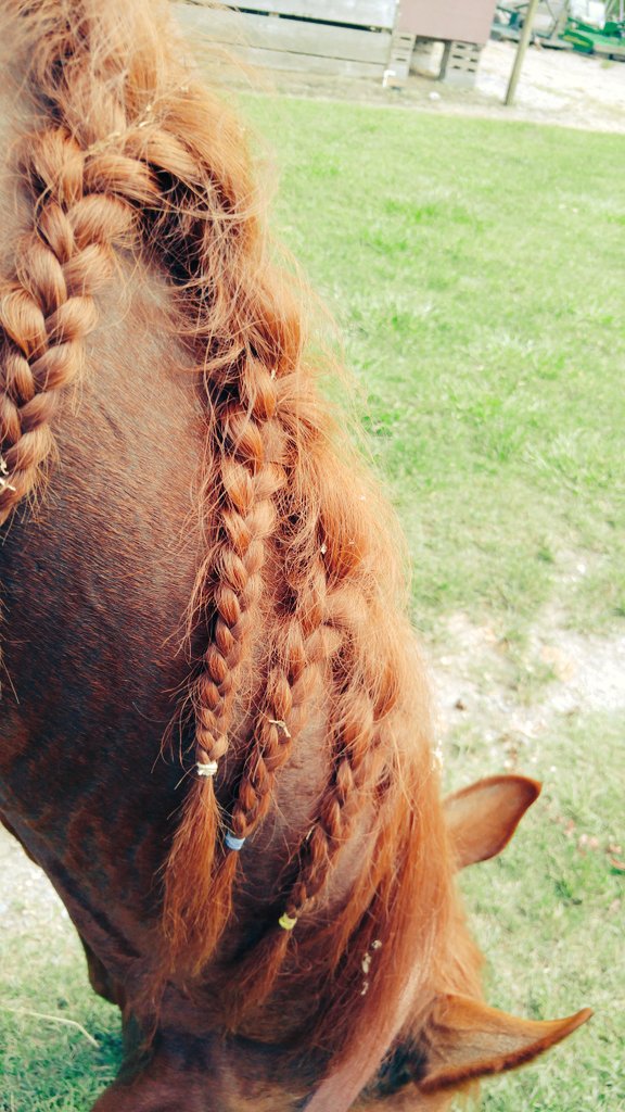 rol2s's tweet photo. When yo mama leaves town and no one to keep yo braids tight. #nappyheaded https://t.co/3InVZFbstw