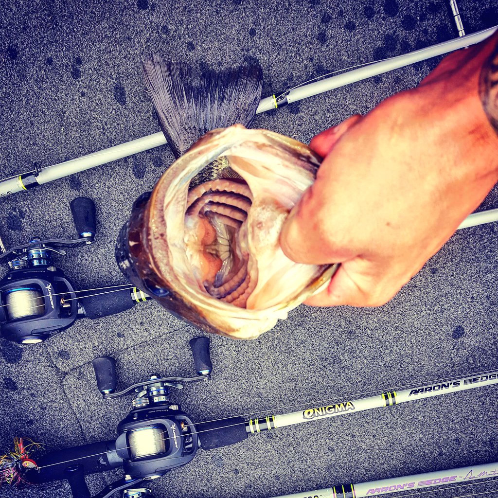 elliottlarose's tweet photo. A Flippin Dreams! @NetBaitLures @ardent_reels @EnigmaFishing @TroKarHooks @BassCatBoats https://t.co/tiDstDmaEb