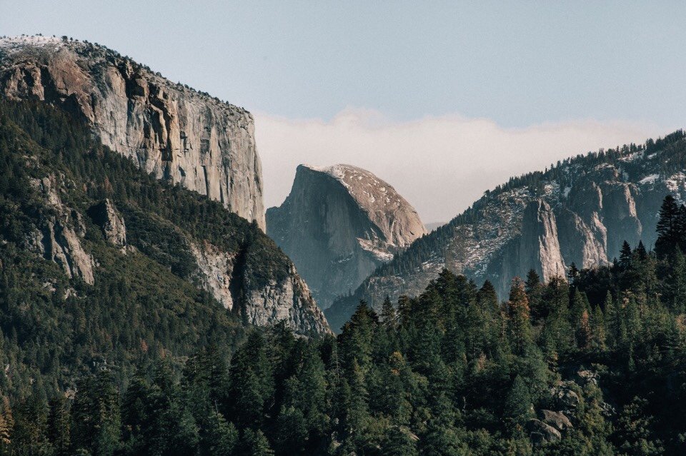 fina_anuxtal's tweet image. 