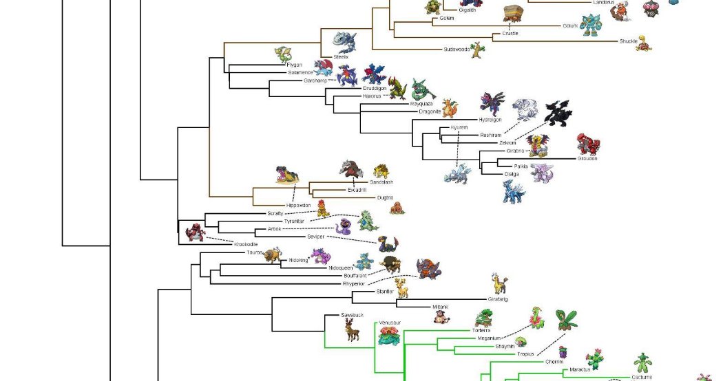 An evolutionary scientist created an evolutionary history and phylogeny