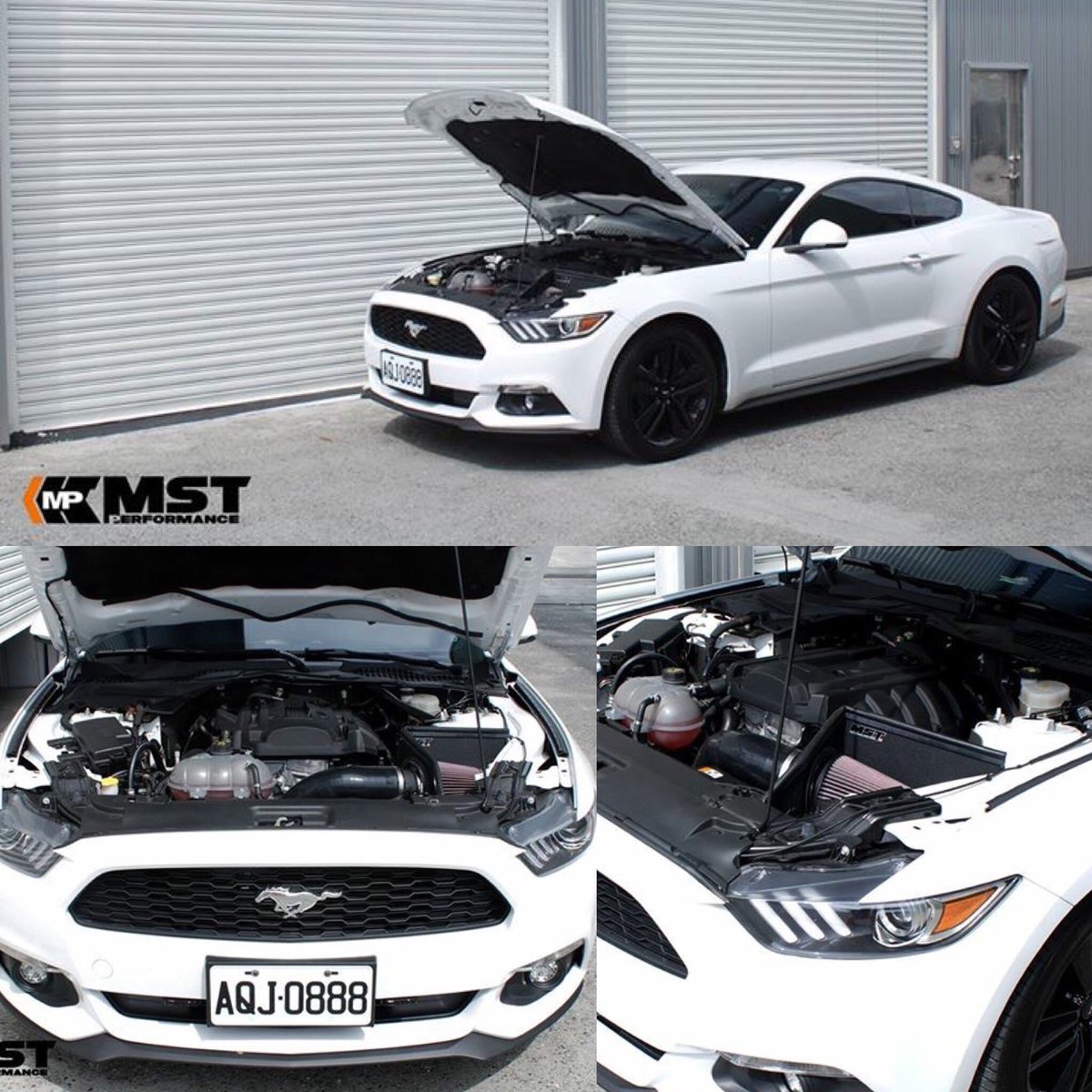 MST PERFORMANCE (@MSTPAP) / Posts / X