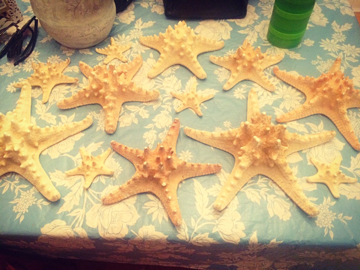 AL__Design's tweet image. Oh the possibilities 💕🐚⚓️🐠 #starfish #design #decor #coastalliving #beachdecor #crafty #motivation #happygirl