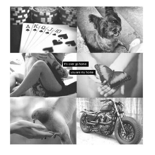 SwcctDisxstcr's tweet photo. "мaddoх вlood rυnѕ тнroυgн мy veιnѕ."
×Daughter Of Travis And Abbigail Maddox en #LR×
¿RT y te regalo un cigarro] https://t.co/dJGJWgpvKd