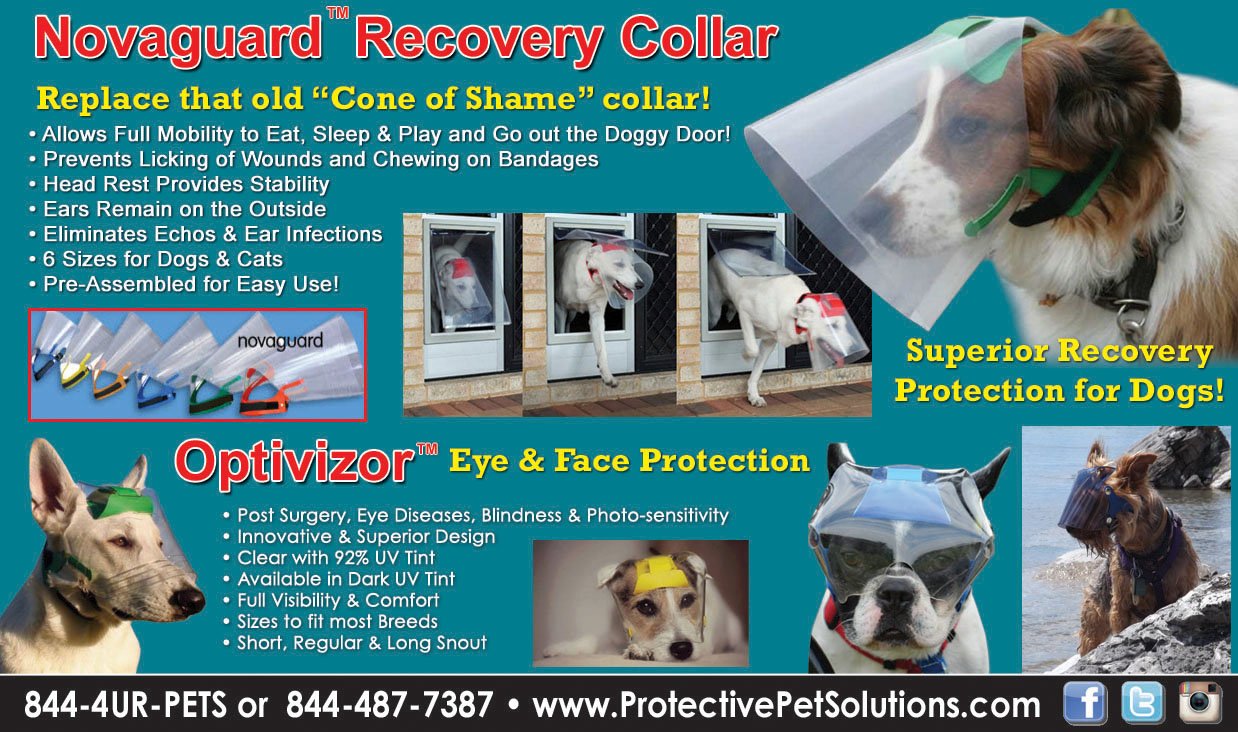 Novaguard clearance recovery collar