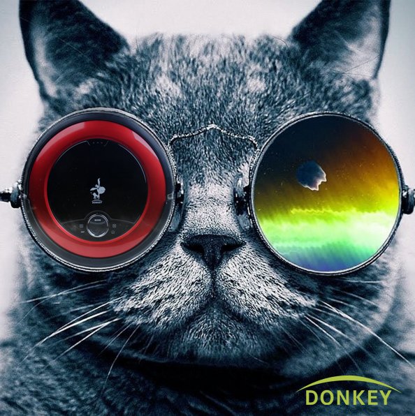 Donkey_Robot's tweet image. Clean and simple bedroom is the perfect retreat. Our little #DonkeyrRobot #Cleaner E1 make your dream come true.