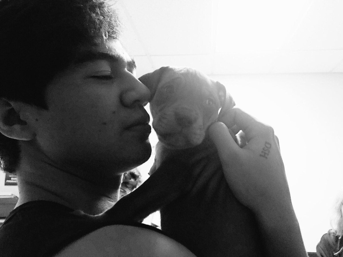 When calum's "big day" includes holding puppies