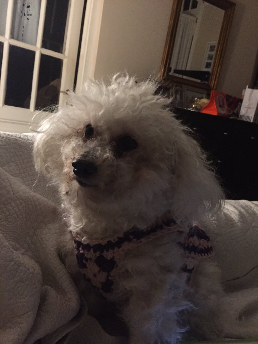 GusChannel's tweet image. YO tambien te extraño Sofia Elias Fava #FunTimeJulio2016