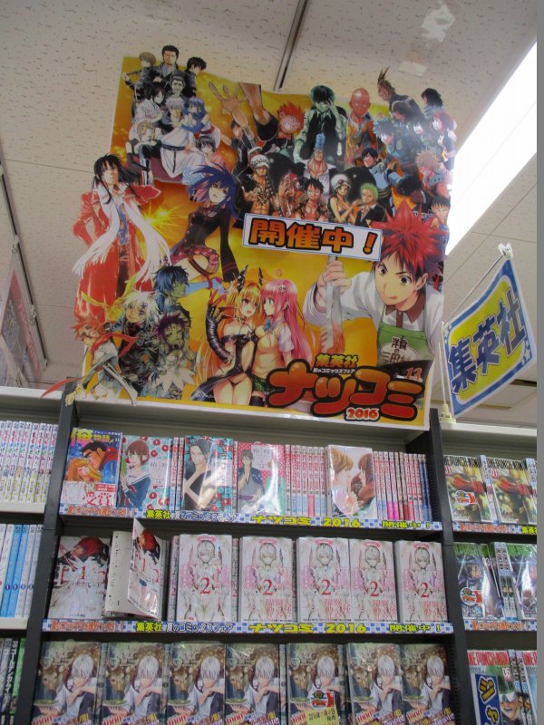 ナツコミ16