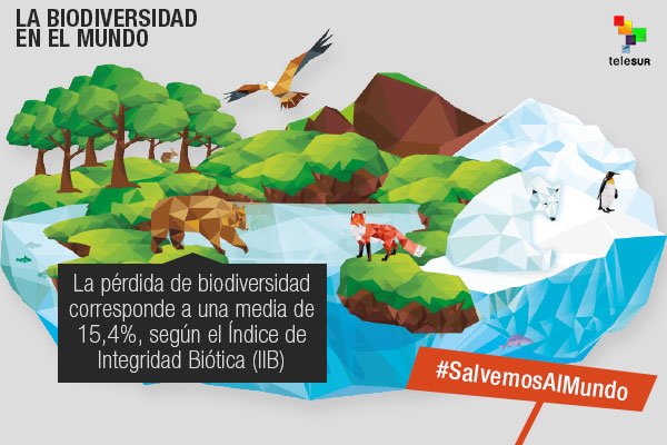 Ver imagen en Twitter