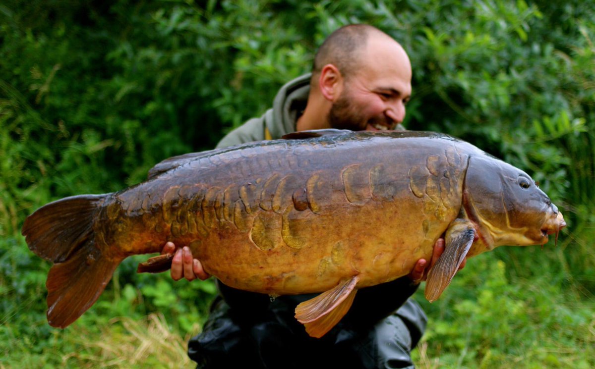 One from last week, 36lb 4 oz still proper buzzed about this one a truly epic carp!!