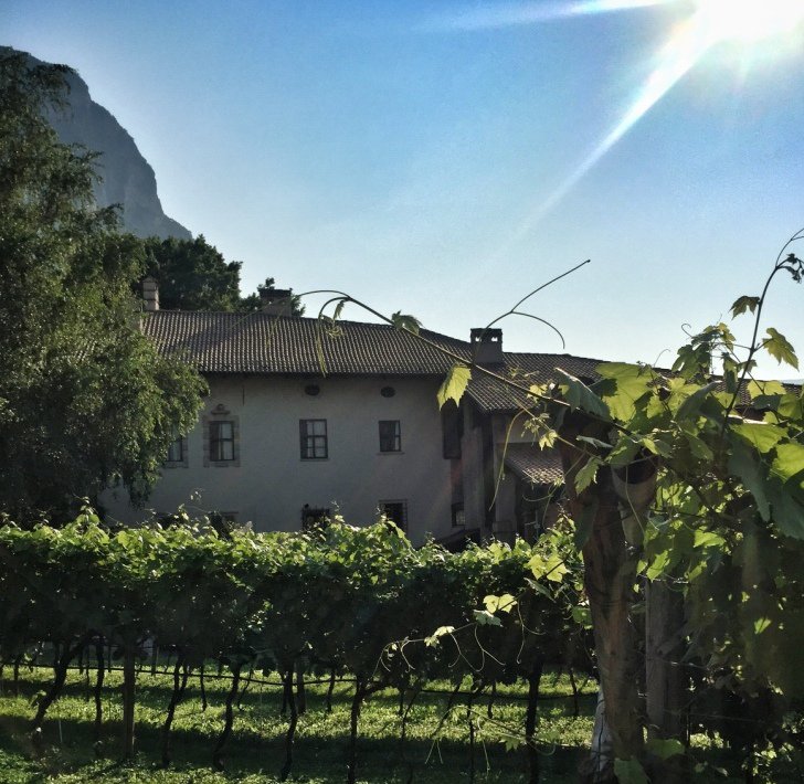 VinoDolomiti's tweet photo. Il cinema abbinato ai prodotti trentini va in scena a Mezzocorona per #DOCcinema ! Info: https://t.co/nzPjlF807d https://t.co/snYs4szHs6