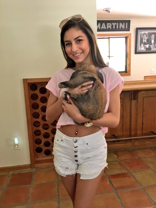 @netlia lookie what I found 💞 https://t.co/yeCEg3kPZf<a class="tags" href="/tag/netlia">@netlia</a>