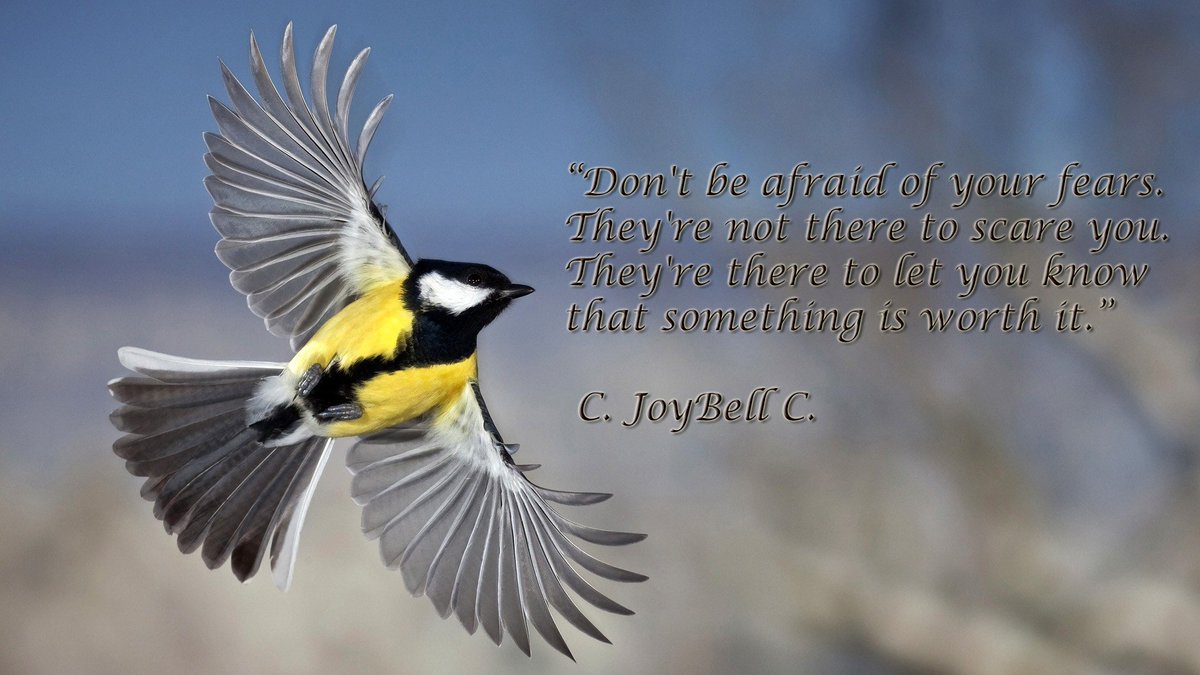 wowral's tweet photo. Your strength is what matters the most!
 #Wowral https://t.co/NQtAeY10VD
