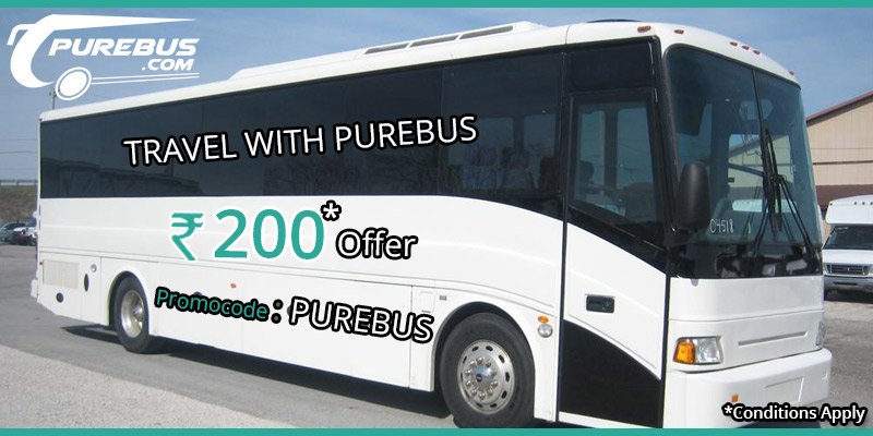 PUREBUS tweet media